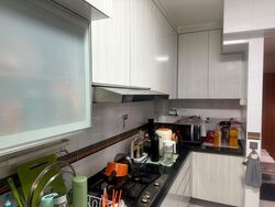 Blk 548B Segar Palmview (Bukit Panjang), HDB 4 Rooms #638185511